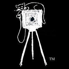 Cheshire Cat Photo logo: Cat on box camera and tripod squezing shutter release bulb