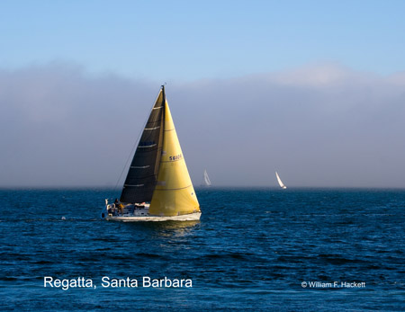 Sailing Regatta, Santa Barbara, California