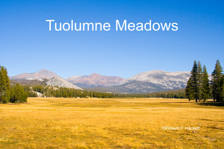 Tuolumne Meadows, Yosemite National Park