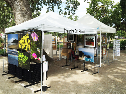 Art Under the Oaks, Cheshire Cat Photo booth!