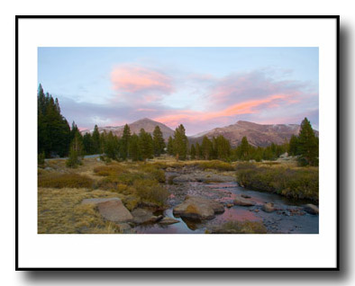 Dana Meadows, Yosemite National Park