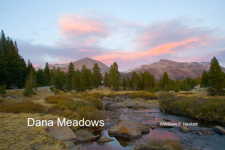 Dana Meadows, Yosemite National Park, California