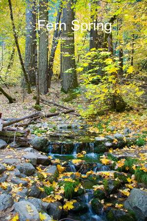 Fern Spring, October, Yosemite Valley, California