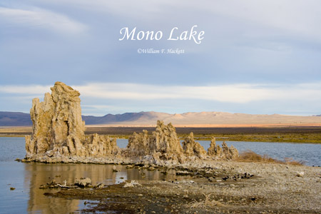 Mono Lake south shore, California