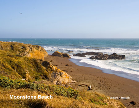 Moonstone Beach, Cambria, California