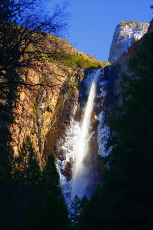 Bridalveil Fall in Winter