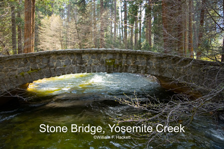 Stone Bridge, Yosemite Creek in April, Yosemite National Park, California