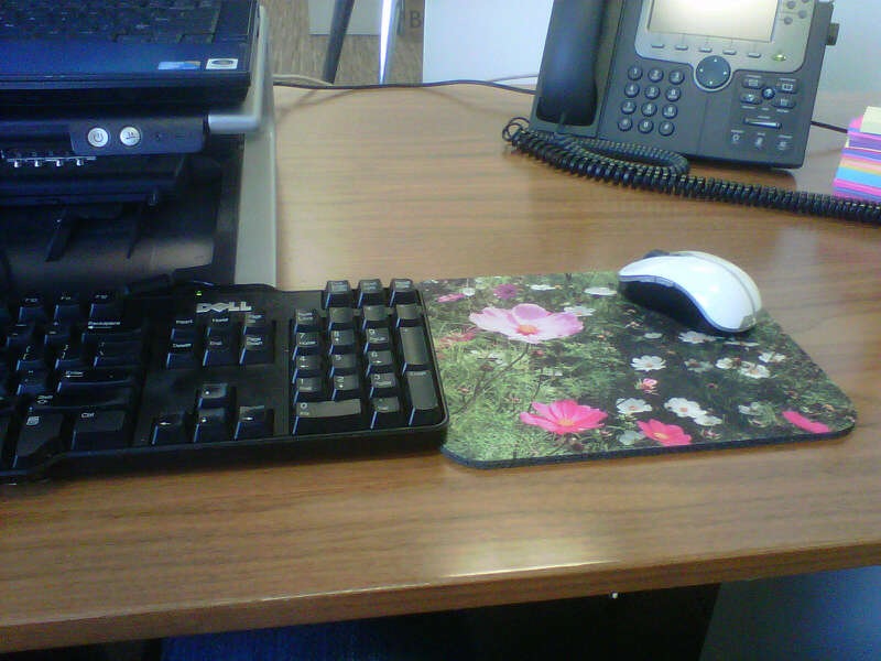 Cheshire Cat Photo mousepad of "Uplifting" in South Africa