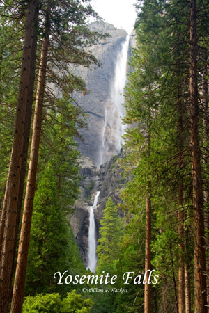 Yosemite Falls, Yosemite National Park, California