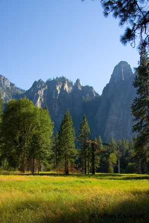 El Capitan Meadow, Yosemite