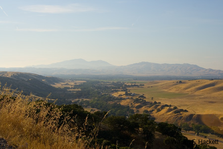 Mendenhall Road view, Livermore, California