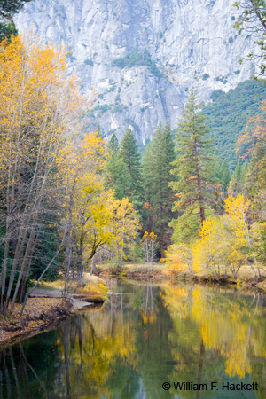 Merced River with Fall Foliage