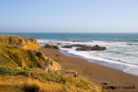 Moonstone Beach, Cambria, California