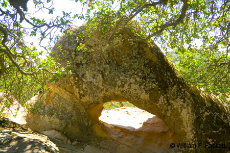 Arch, Mount Diablo, CA