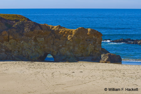 Natural Bridge, Pescadero State Beach, CA