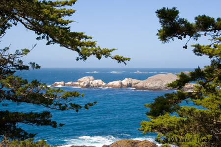 BigSur0001