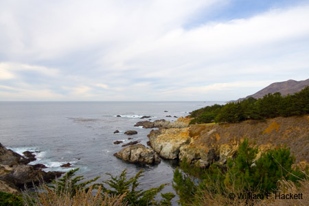 BigSur9848