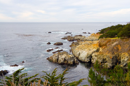BigSur9856
