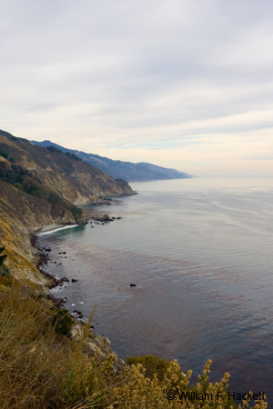 BigSur9989