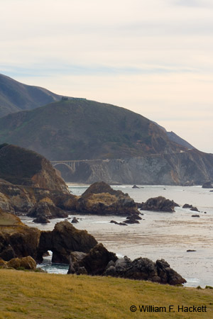 BigSurBrigdges9873