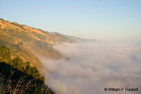BigSurFog0015