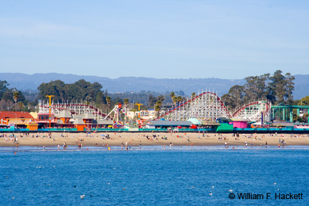 BeachBoardwalkSCMar0354