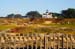 PtPinosLighthouseJan4095