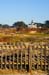 PtPinosLighthouseJan4101