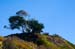 RiodelMarCliffJan4073
