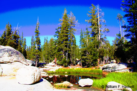 AlpinePond0724e1