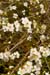 NewBrightonSBMarch0799