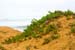 SeaFigFtFunston3463