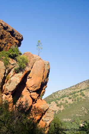 BearGulchTrail0597