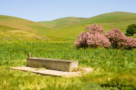 BrushyPeakTrough1024