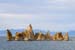 MonoLake4289
