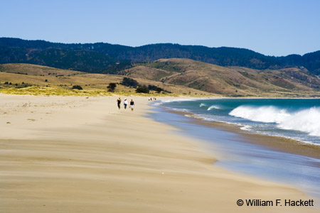 LimantourBeach2630