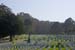PresidioSFNatlCem1082