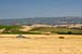 HayfieldAndVinesJun1673