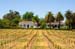 RavenswoodNewVines1699