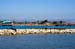 SeaLionsMossLanding3170