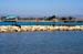 SeaLionsMossLanding3172