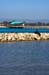 SeaLionsMossLanding3179