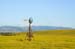 WindmillHartfordS0639