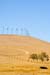 WindmillsDyerRd4435