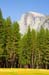 HalfDome0629